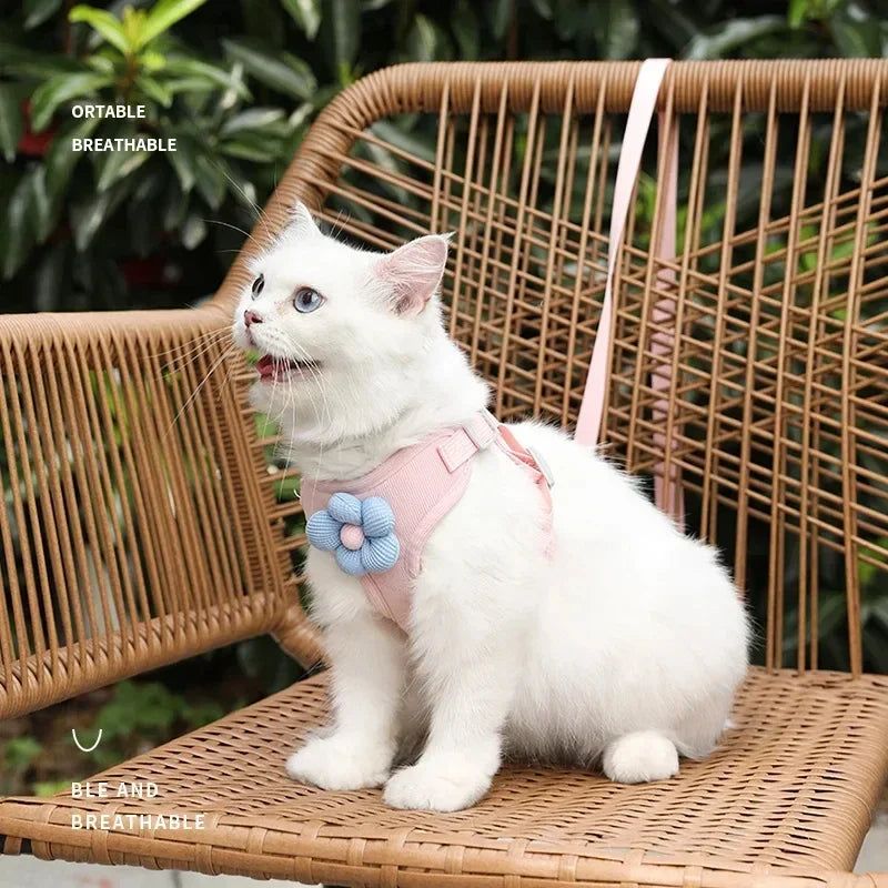 Pet vest traction rope dog cartoon three-dimensional accessories Teddy walking dog rope cat going out chest and back protection