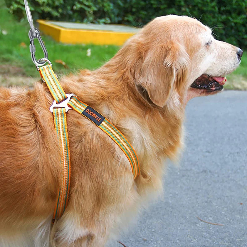 Pet Outdoor Double Hook Extended Steel Wire Rope Dog Rope Pet Traction Rope Anti Bite Dog Chain Metal Hooks Pet Supplies
